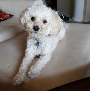 Meet your Posher, Makenzie